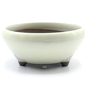 B品 ★ 大型オシャレな鉢大小2個セット バーチボウルサークル ホワイト セール☆ 大型オシャレな鉢大小2個セット バーチボウルサークル